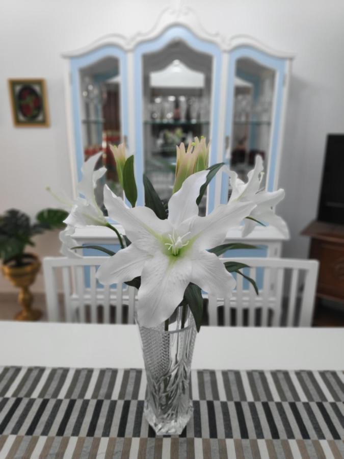 ベガ・デ・サン・マテオLa Orquideaアパートメント エクステリア 写真